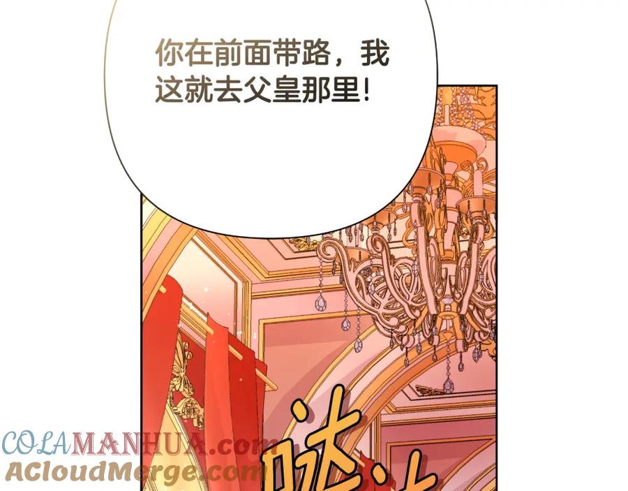 第233页