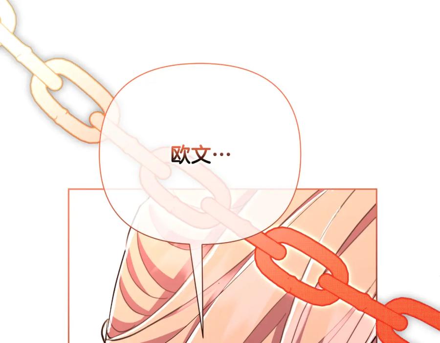 第244页