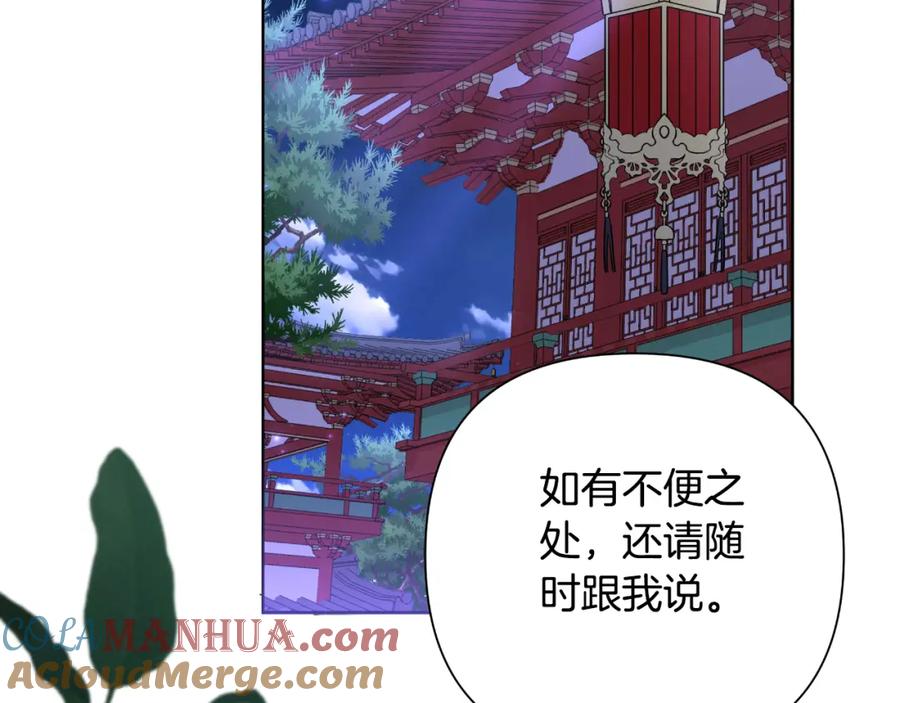 第233页