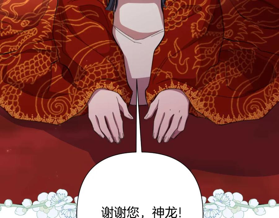 第223页