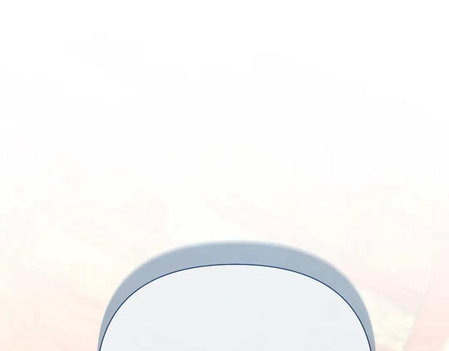 第242页