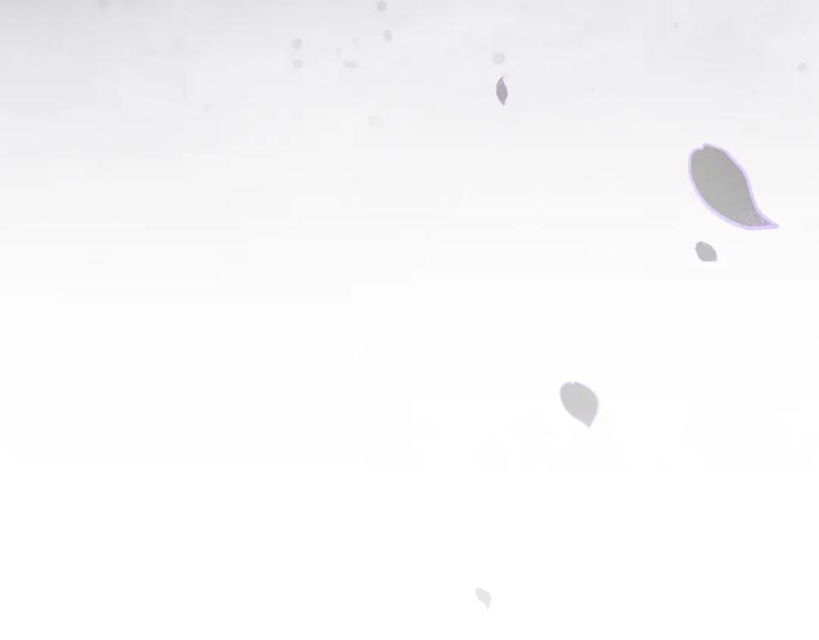 第240页