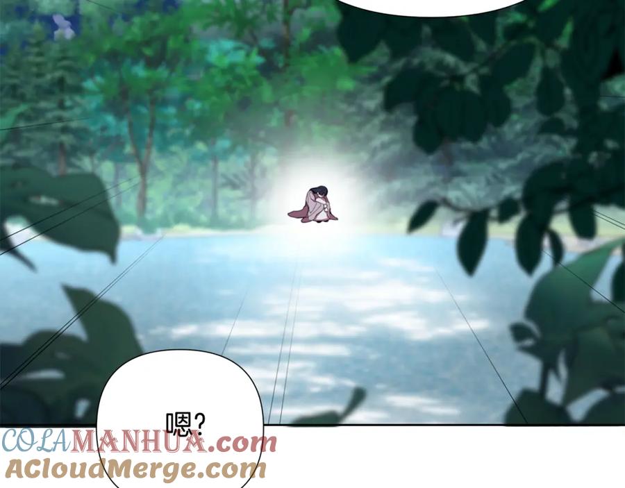 第217页