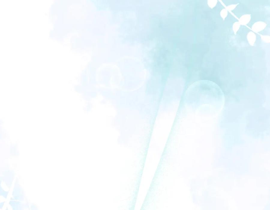 第243页