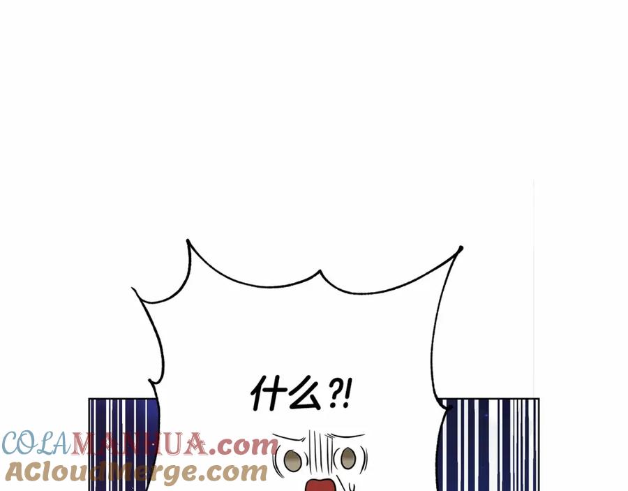 第233页