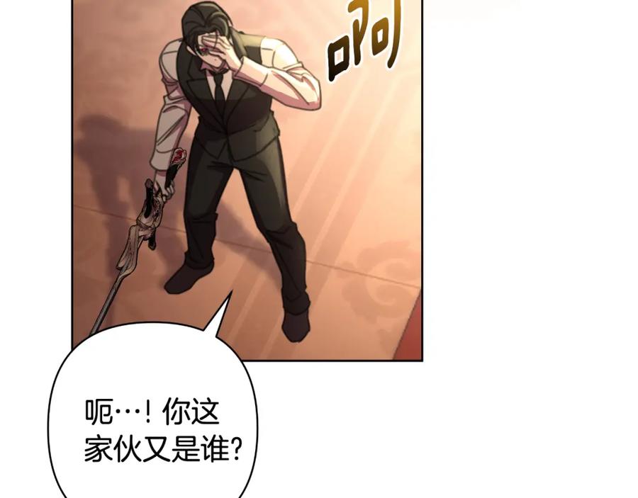 第223页