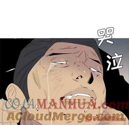 第242页