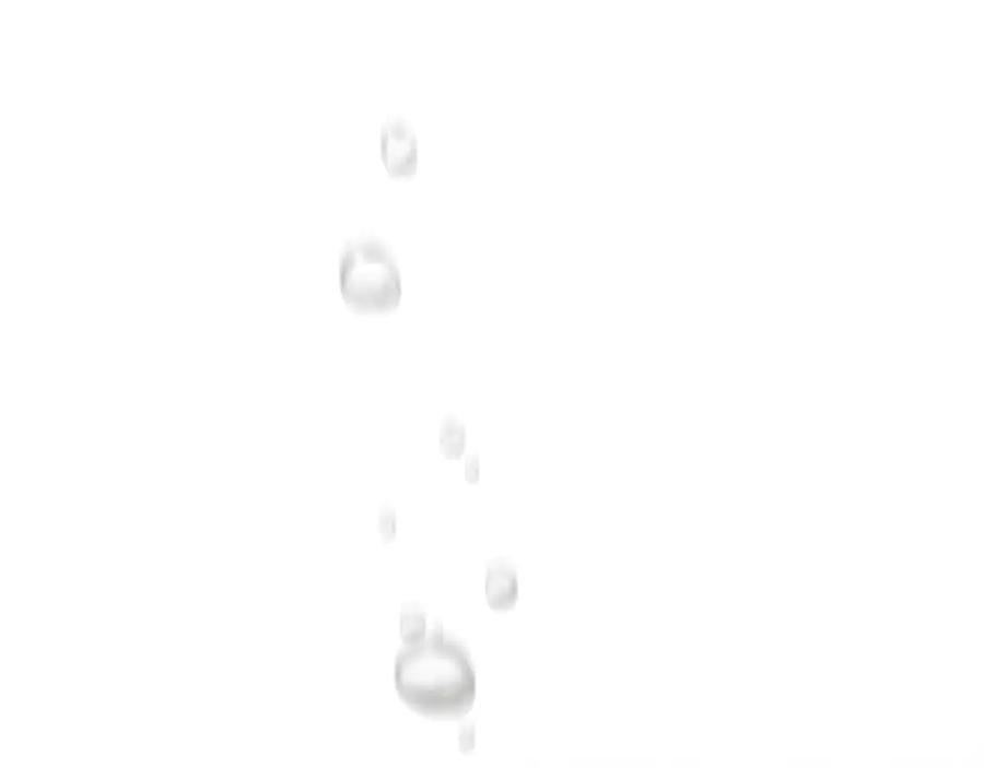 第224页