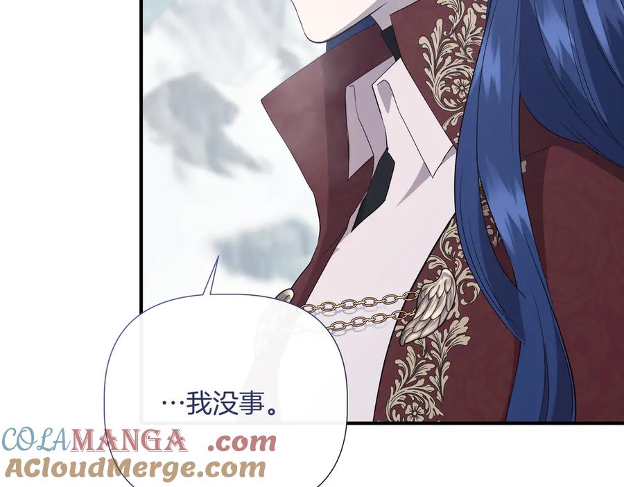 第529页