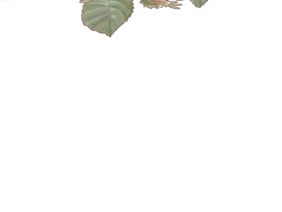 第167页