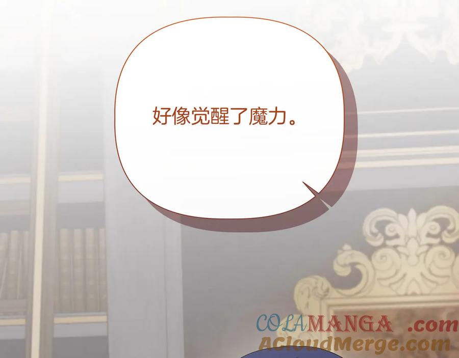 第242页
