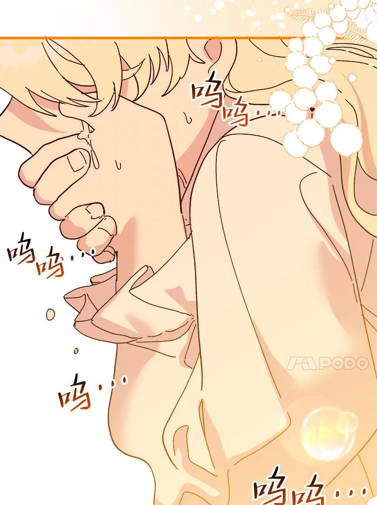 第223页
