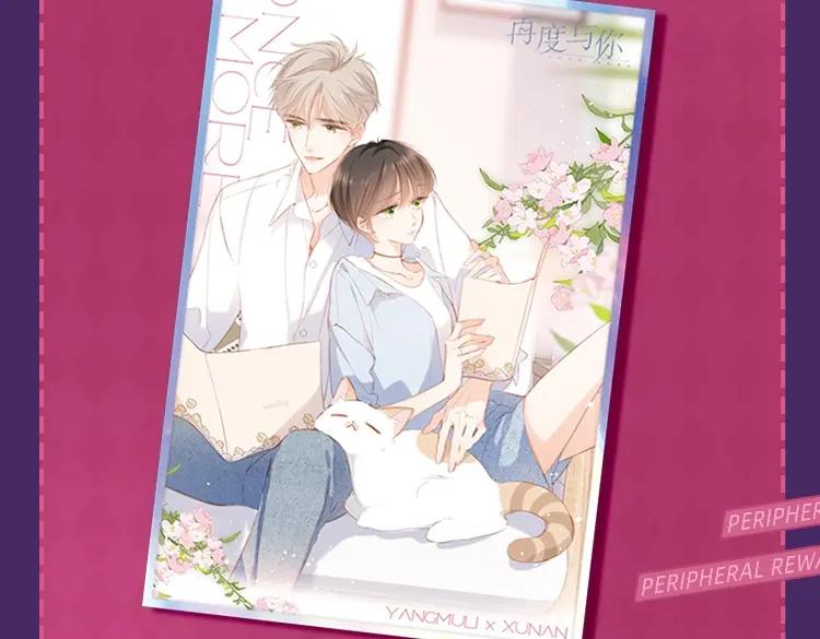 第204页