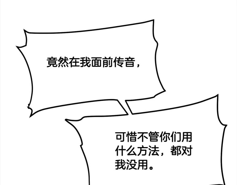 第223页