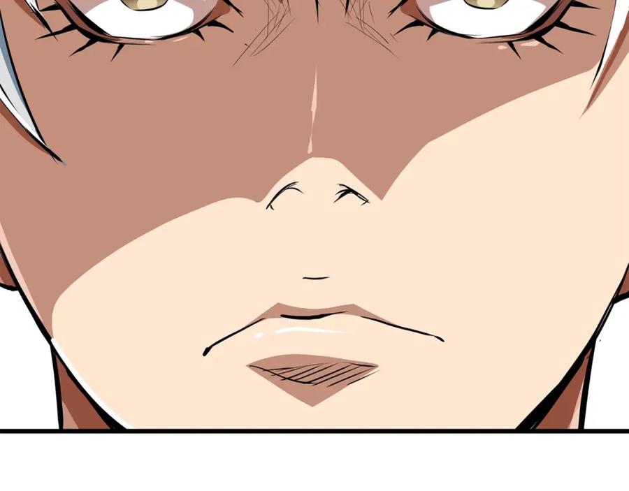 第242页
