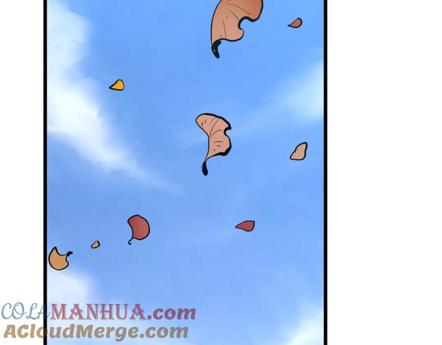 第213页