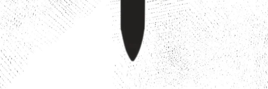 第215页