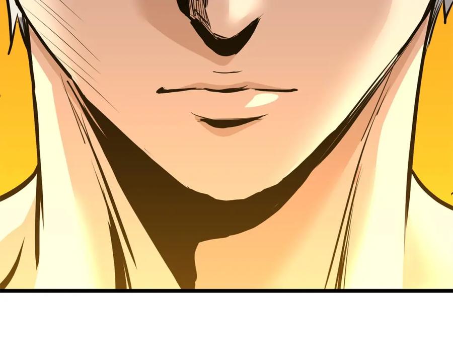 第238页