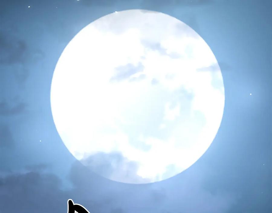 第905页