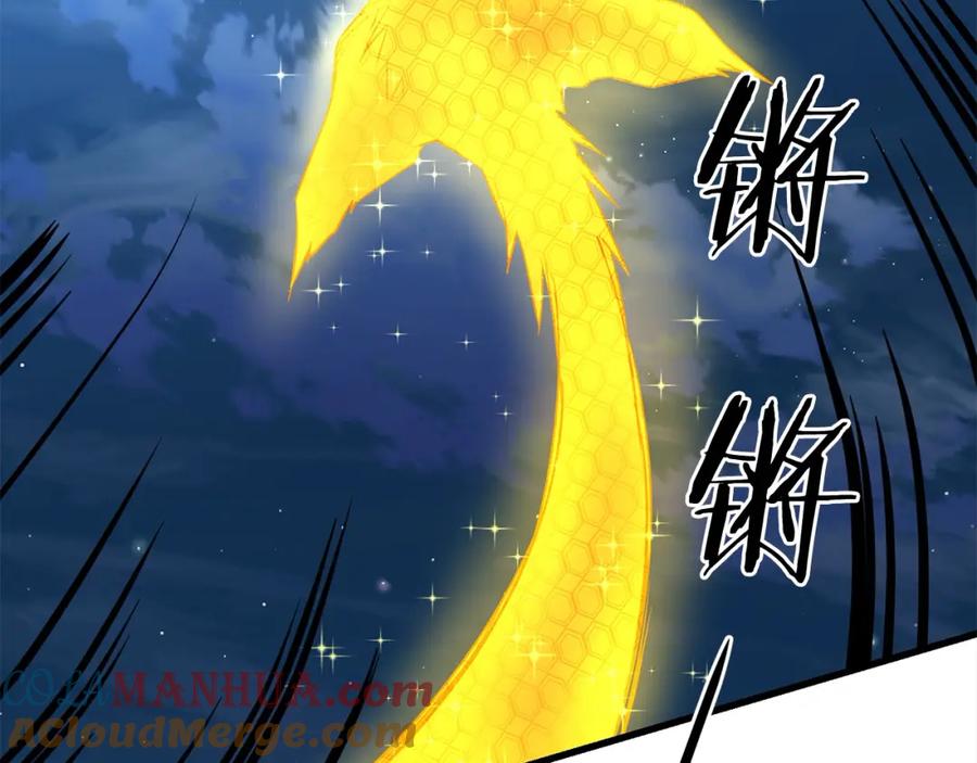 第363页