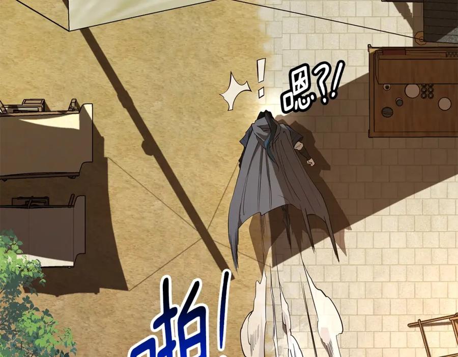 第254页