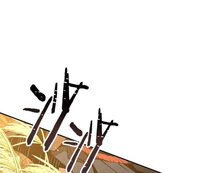 第276页