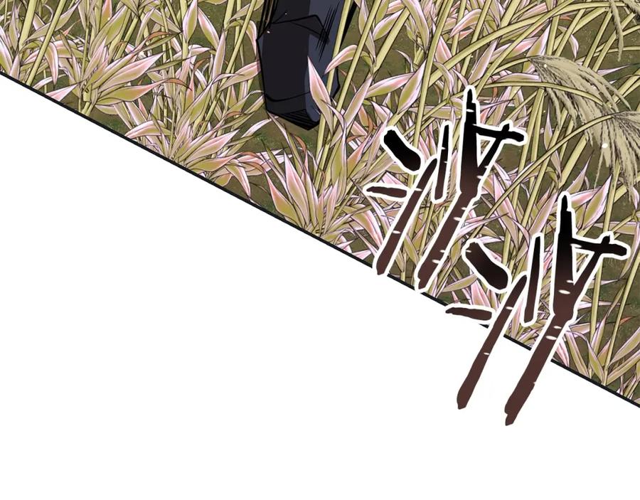 第278页