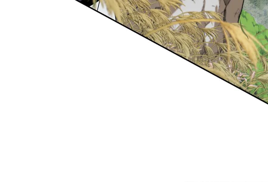 第406页