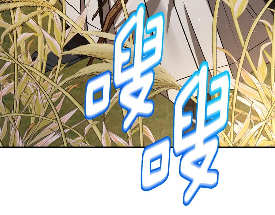 第411页