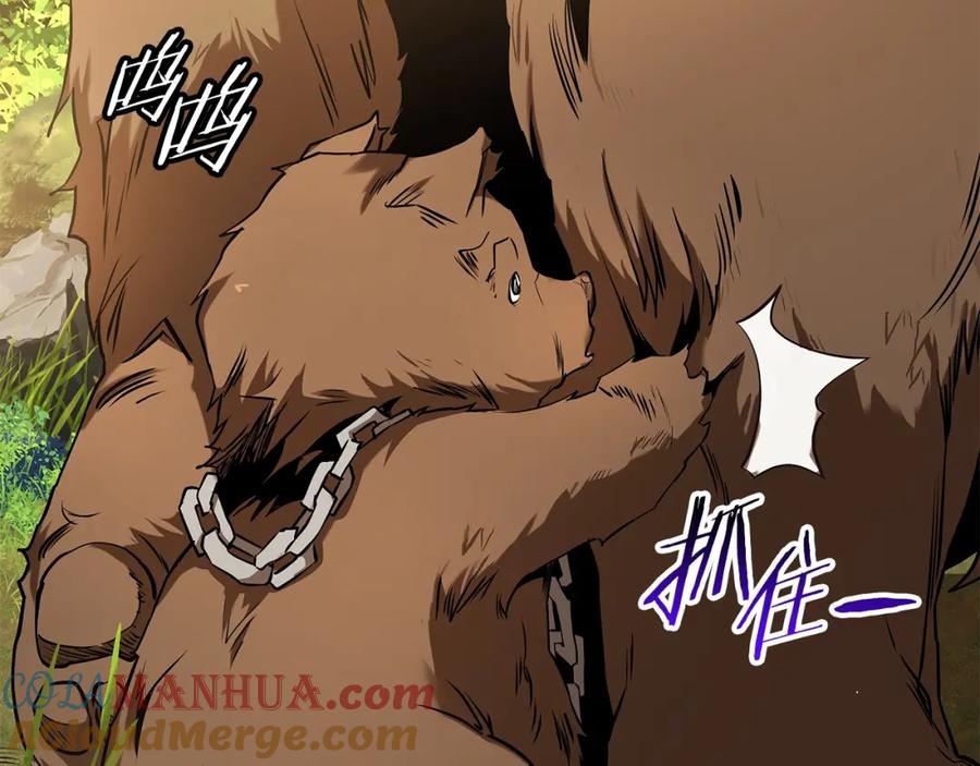 第205页
