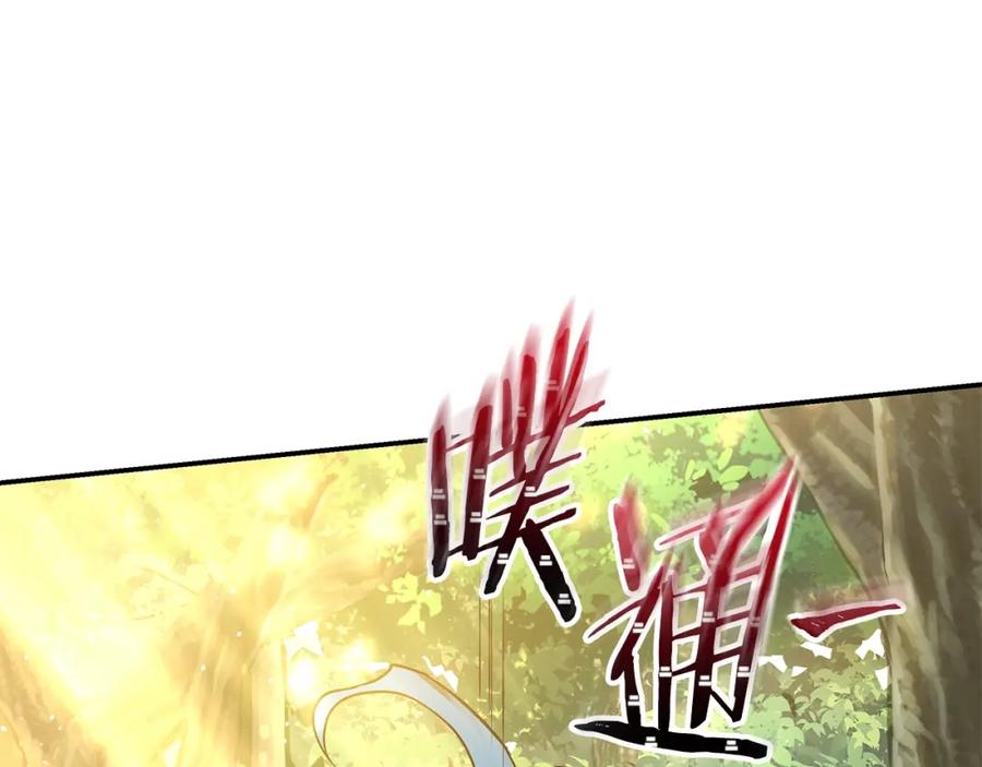 第215页