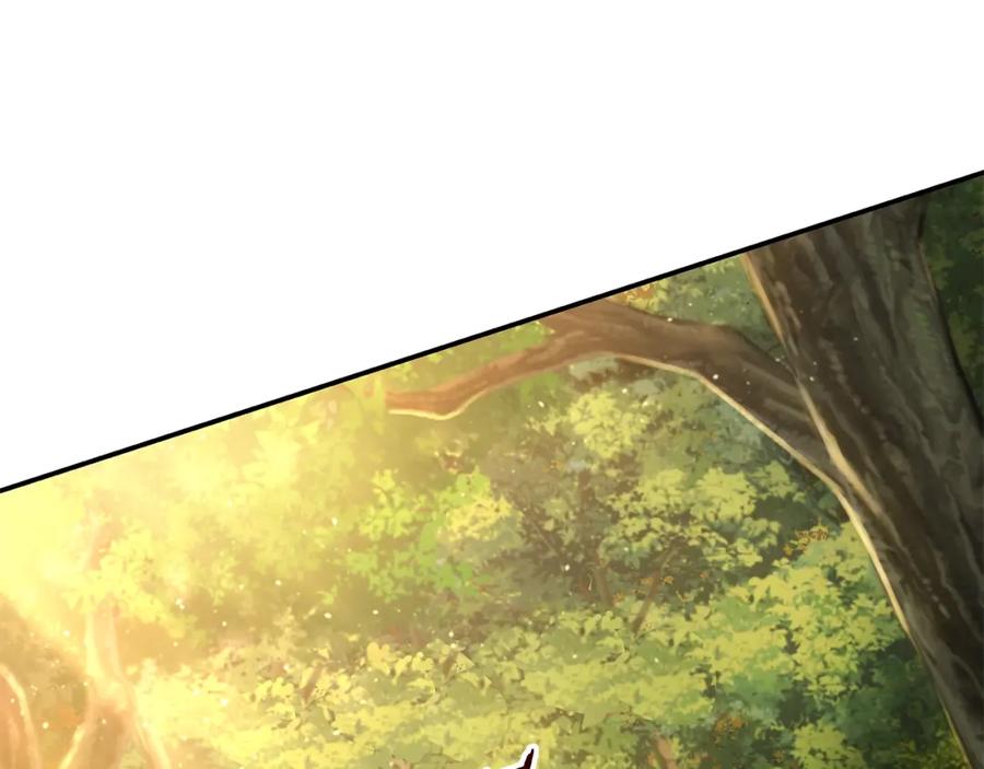 第336页