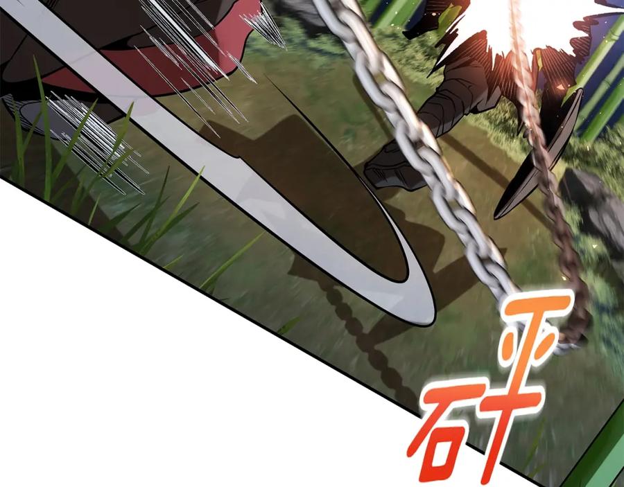 第204页