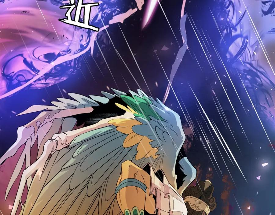 第367页