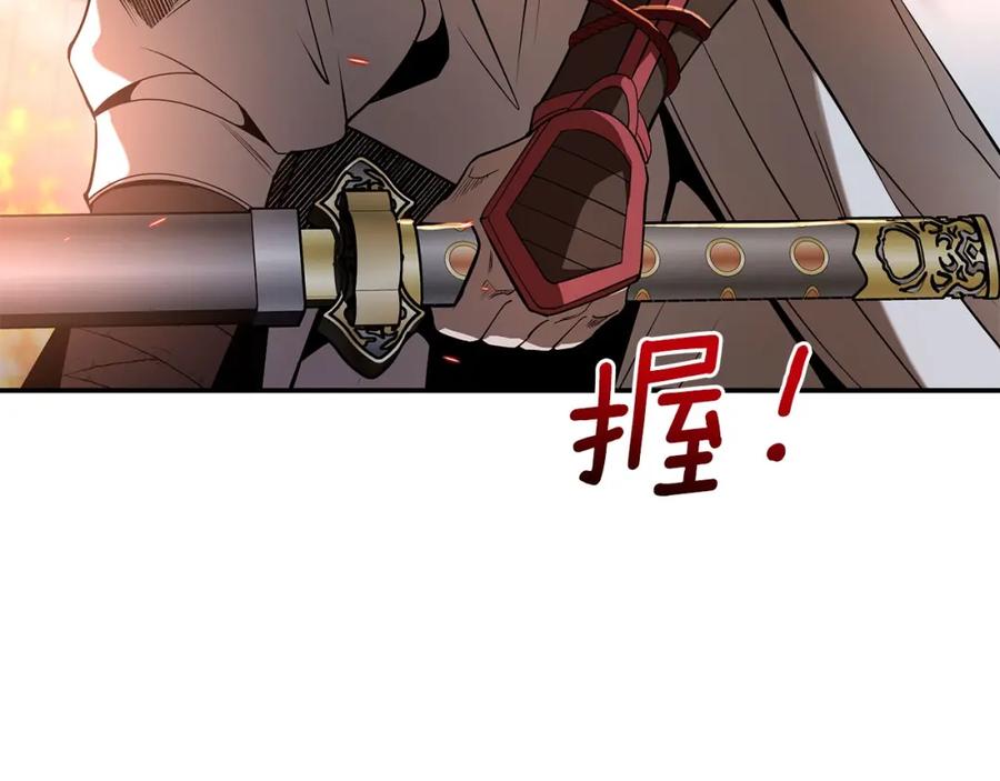 第233页