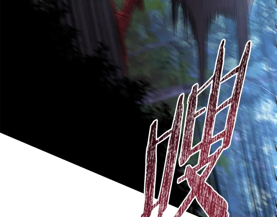 第215页