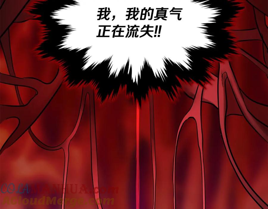 第217页