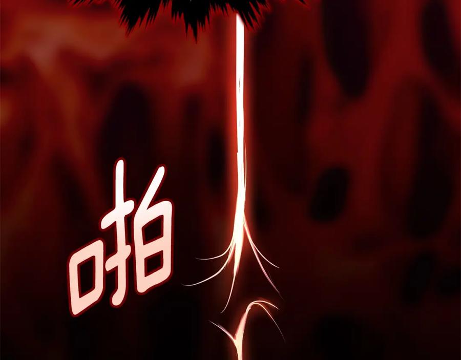 第223页
