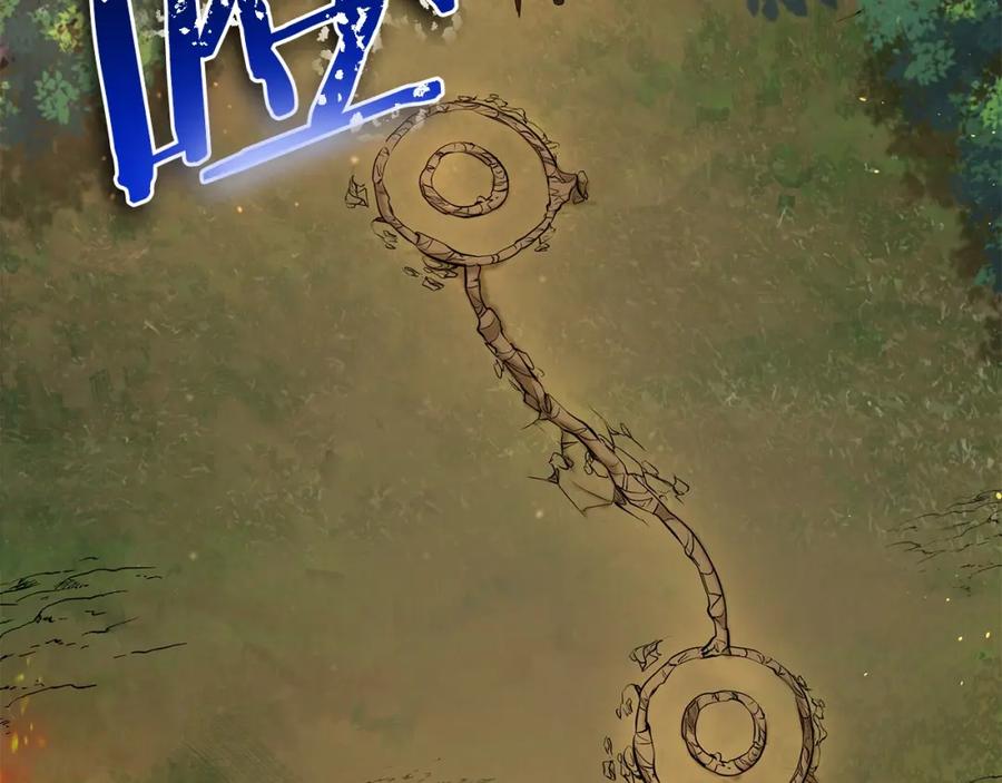 第204页