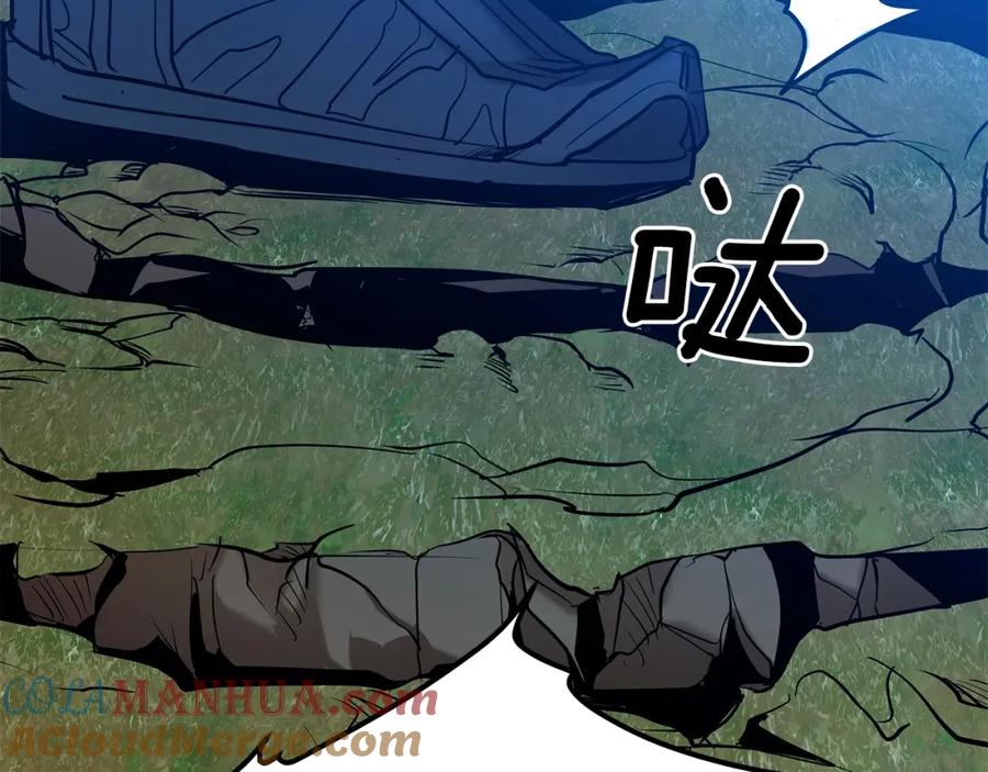 第233页