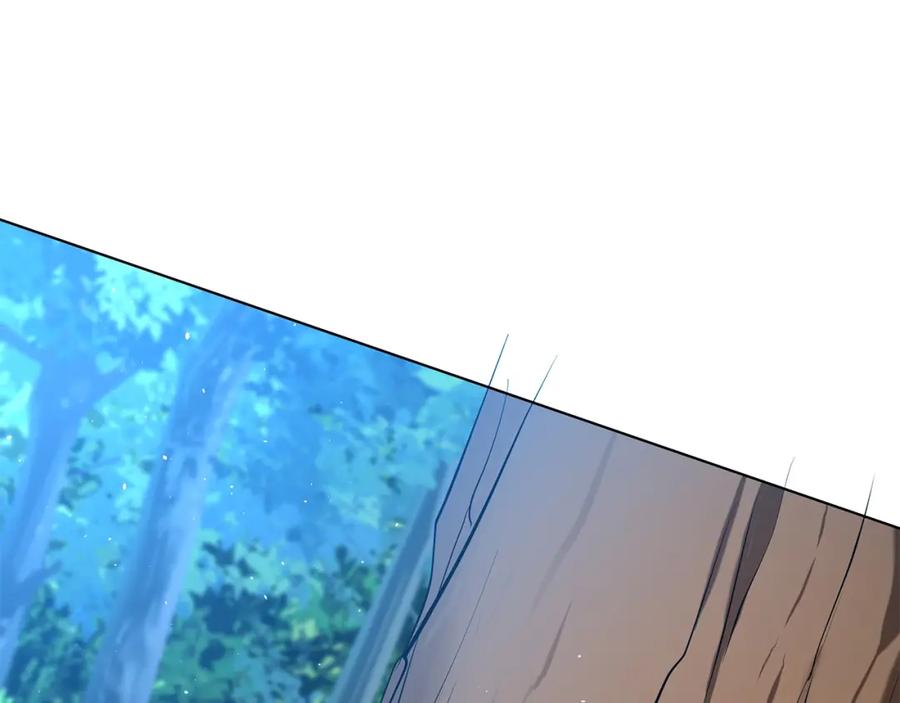 第247页