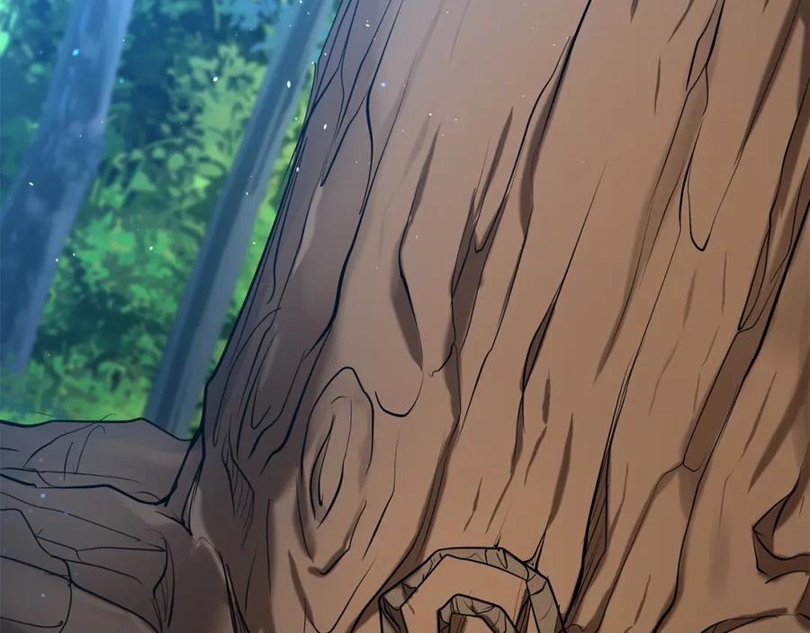第248页