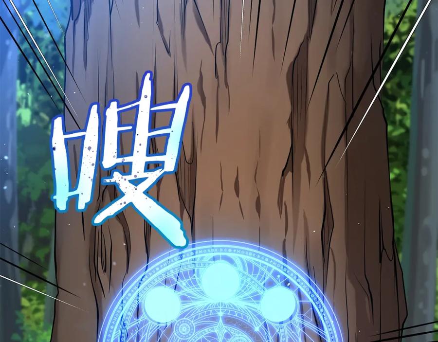 第255页