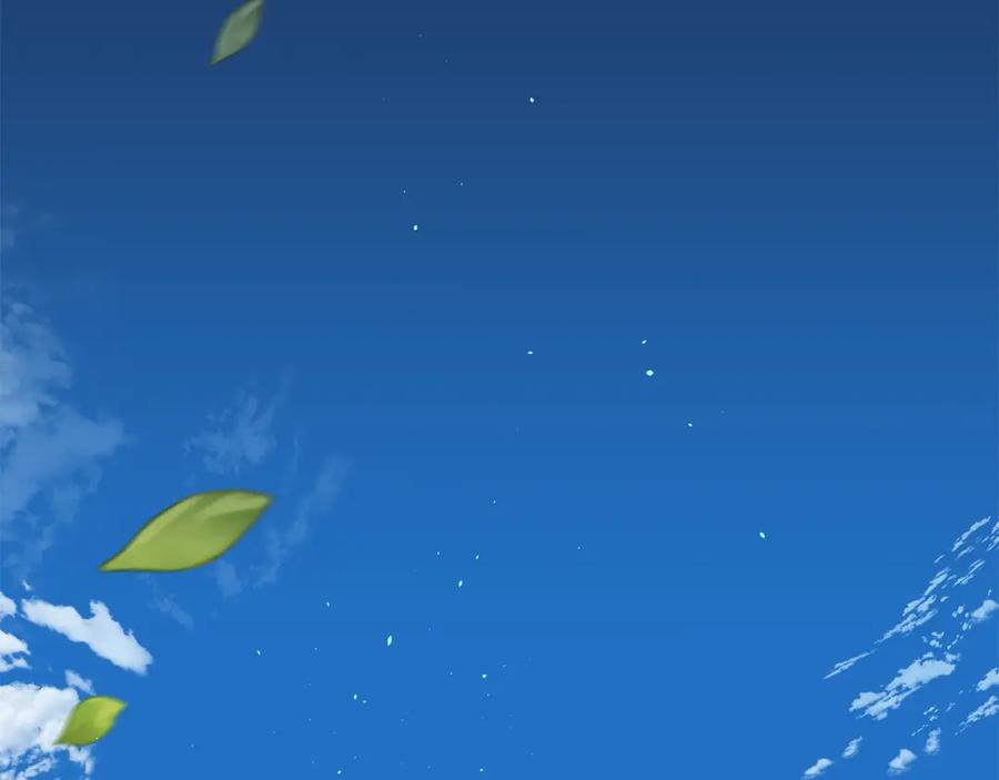 第223页