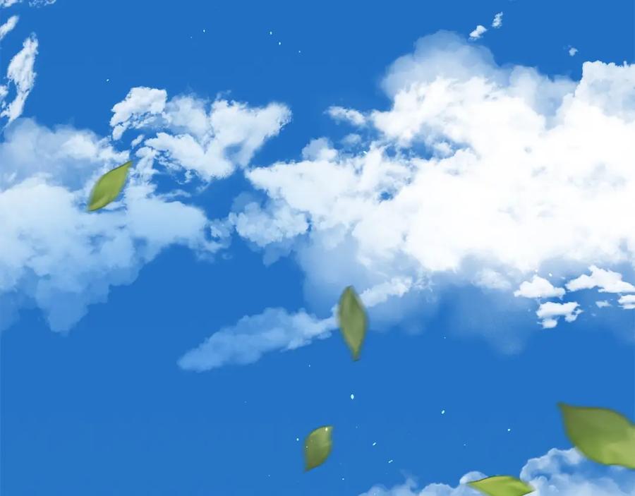 第224页