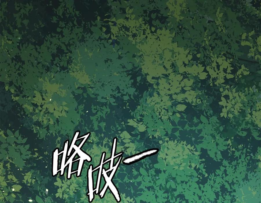 第251页