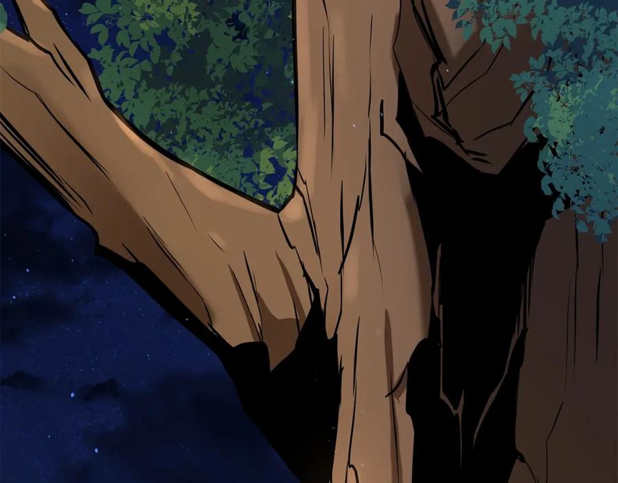 第254页