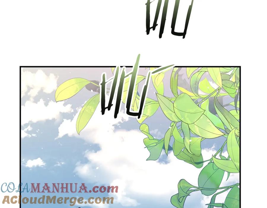 第261页
