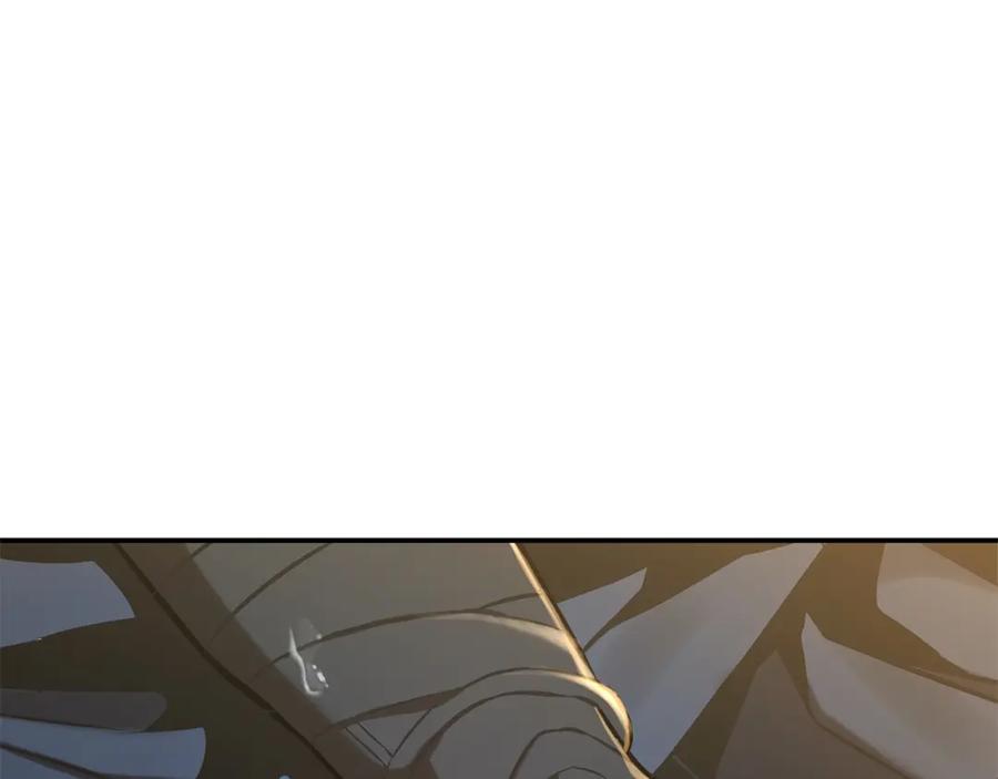 第282页