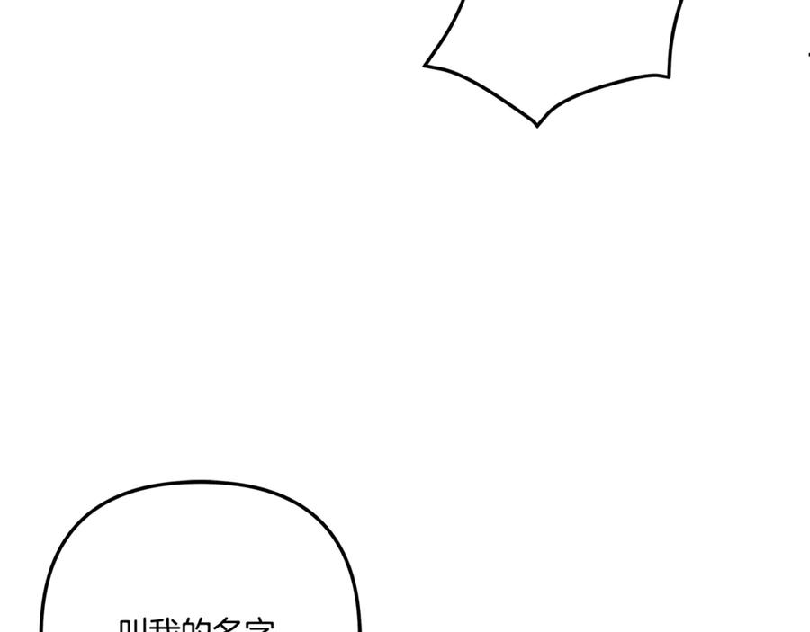 第223页